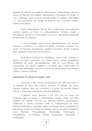 5
filtração do plasma nos capilares glomerulares. Dessa forma a pressão
efetiva de filtração nos capilares glomerulares é de apenas 10 mmHg, ou
seja, a diferença entre a pressão arterial média nos capilares (60 mmHg)
e a soma da pressão da cápsula de Bowman com a pressão coloido-
osmótica do plasma.
Como a hemoglobina filtrada não é reabsorvida, esse pigmento
protéico aparece na urina; é a hemoglobinúria. Portanto, quando a
hemoglobina aparece na urina significa que houve uma grande quantidade
de destruição de hemácias.
A vaso constrição pode ocorrer simultaneamente nas artérias
aferentes e eferentes, e o volume do filtrado continuar o mesmo. Isso
ocorre em situações emergenciais, quando é necessário desviar o grande
fluxo sanguíneo renal para outros setores.
Os produtos terminais do metabolismo, como a ureia, creatinina e
uratos têm outro tratamento nos túbulos renais. Apenas quantidades
moderadas de ureia, aproximadamente 50% do total filtrado, são
reabsorvidas nos túbulos enquanto a creatinina não é reabsorvida. Os
uratos são reabsorvidos em cerca de 85%, da mesma forma que diversos
sulfatos, fosfatos e nitratos.
Importância do estudo da função renal
A biofísica é uma ciência interdisciplinar que aplica as teorias e
os métodos da física para resolver questões de biologia. Em outras
palavras podemos dizer que a biofísica é o estudo da matéria, espaço,
energia e tempo que ocorrem nos sistemas biológicos.
A biofísica busca enxergar o ser vivo com um corpo, que
ocupando lugar no espaço, e transformando energia, existe num meio
ambiente que interage com este ser. Aspectos elétricos, gravitacionais,
magnéticos e mesmo nucleares estão na fundamentação de vários
fenômenos biológicos, e portanto, podem ser tratados pelos conhecimentos
das ciências físicas. É estudada por algumas ciências da saúde e biológicas,
como Medicina, Fonoaudiologia, Odontologia, Enfermagem e
principalmente na Biologia, Terapia Ocupacional, Fisioterapia e
Biomedicina.
 