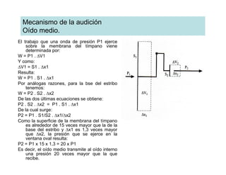 Mecanismo de la audición
  Oído medio.
El trabajo que una onda de presión P1 ejerce
    sobre la membrana del tímpano viene
    determinada por:
W = P1 . ∆V1
Y como:
∆V1 = S1 . ∆x1
Resulta:
W = P1 . S1 . ∆x1
Por análogas razones, para la bse del estribo
    tenemos:
W = P2 . S2 . ∆x2
De las dos últimas ecuaciones se obtiene:
P2 . S2 . ∆x2 = P1 . S1 . ∆x1
De la cual surge:
P2 = P1 . S1/S2 . ∆x1/∆x2
Como la superficie de la membrana del tímpano
    es alrededor de 15 veces mayor que la de la
    base del estribo y ∆x1 es 1,3 veces mayor
    que ∆x2, la presión que se ejerce en la
    ventana oval resulta:
P2 = P1 x 15 x 1,3 = 20 x P1
Es decir, el oído medio transmite al oído interno
    una presión 20 veces mayor que la que
    recibe.
 