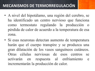 CLASIFICACION DE TRANSFERENCIA DE CALOREVAPORACIÓNEs la pérdida de calor producida por el agua al evaporarse. Existe una pérdida insensible de agua a través de la piel y respiración que no podemos controlar y que representa en un adulto 500 ml de agua al día.Temperatura Corporal >Temperatura del ambienteTiende a perder calor 