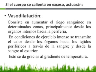 Ejemplos Cotidianos De Las Tres Formas De Transferencia De CalorConducción
