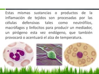 Si el cuerpo se calienta en exceso, actuarán:Disminución de la producción de calor:A través de inhibición del escalofrío y 	factores metabólicos hormonales.	Los músculos esqueléticos tienen un interés particular en la regulación de temperatura porque generan contracciones involuntarias (escalofrío) cuando el sistema padece frío. 