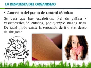 Ante el enfriamiento los mecanismos serán: Vasoconstricción cutánea: Restringe o disminuye el flujo sanguíneoy disminuye la pérdida de calor hacia el exterior. 