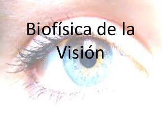 Biofísica de la
Visión
 