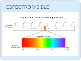 ESPECTRO VISIBLE
 