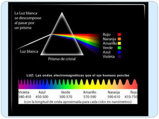 Biofisica de los sentidos