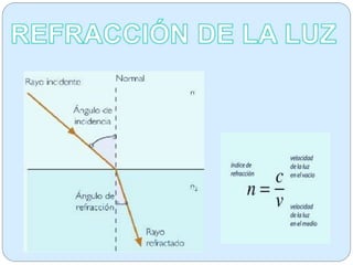 Biofisica de los sentidos