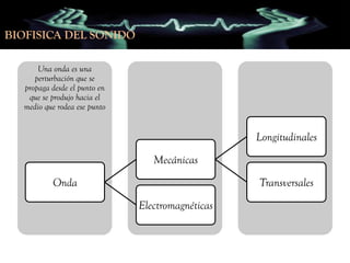 BIOFISICA DEL SONIDO
Una onda es una
perturbación que se
propaga desde el punto en
que se produjo hacia el
medio que rodea ese punto

Longitudinales
Mecánicas
Onda

Transversales
Electromagnéticas

 