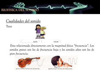 BIOFISICA DEL SONIDO
BIOFISICA DEL SONIDO

Cualidades del sonido
Tono

Esta relacionada directamente con la magnitud física “frecuencia”. Los
sonidos graves son los de frecuencia baja y los sonidos altos son los de
gran frecuencia.

 