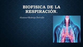 BIOFISICA DE LA
RESPIRACIÓN.
Alumno=Rodrigo Delvalle
 