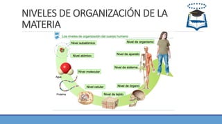NIVELES DE ORGANIZACIÓN DE LA
MATERIA
 