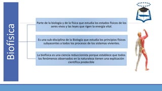 Biofísica
Parte de la biología y de la física que estudia los estados físicos de los
seres vivos y las leyes que rigen la energía vital.
Es una sub-disciplina de la Biología que estudia los principios físicos
subyacentes a todos los procesos de los sistemas vivientes.
La biofísica es una ciencia reduccionista porque establece que todos
los fenómenos observados en la naturaleza tienen una explicación
científica predecible
 