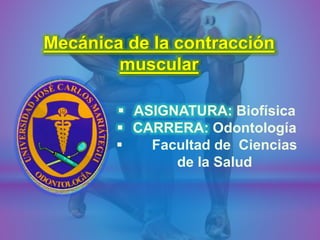 Mecánica de la contracción
muscular
 ASIGNATURA: Biofísica
 CARRERA: Odontología
 Facultad de Ciencias
de la Salud
 
