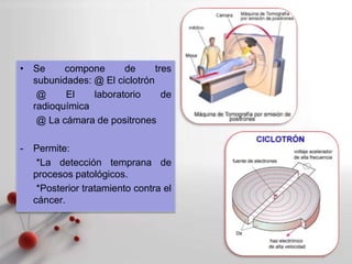 Powerpoint Templates
Page 13
• Se compone de tres
subunidades: @ El ciclotrón
@ El laboratorio de
radioquímica
@ La cámara de positrones
- Permite:
*La detección temprana de
procesos patológicos.
*Posterior tratamiento contra el
cáncer.
 