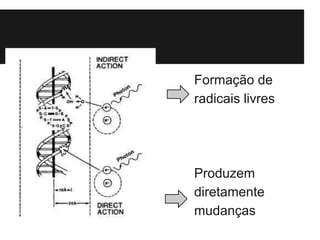 Formação de
radicais livres
Produzem
diretamente
mudanças
 