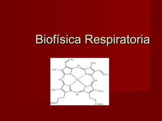 Biofísica RespiratoriaBiofísica Respiratoria
 
