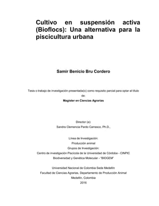 Cultivo en suspensión activa
(Bioflocs): Una alternativa para la
piscicultura urbana
Samir Benicio Bru Cordero
Tesis o trabajo de investigación presentada(o) como requisito parcial para optar al título
de:
Magister en Ciencias Agrarias
Director (a):
Sandra Clemencia Pardo Carrasco, Ph.D.,
Línea de Investigación:
Producción animal
Grupos de Investigación:
Centro de investigación Piscícola de la Universidad de Córdoba - CINPIC
Biodiversidad y Genética Molecular - “BIOGEM”
Universidad Nacional de Colombia Sede Medellín
Facultad de Ciencias Agrarias, Departamento de Producción Animal
Medellín, Colombia
2016
 