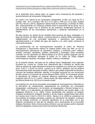 Caracterización de comunidades planctónicas y bacterias heterotróficas asociadas al cultivo de
cachama blanca Piaractus brachypomus y tilapia nilótica Oreochromis niloticus en sistema biofloc
49
de la alcalinidad hacia valores bajos, se sugiere como consecuencia del desdoble y
aprovechamiento de compuestos nitrogenados.
En cuanto a los valores de los compuestos nitrogenados, el NO2 con rango de 0.4 a
0.5mg/L, NO3 (0.4 a 0.5mg/L), NH3 (0.2 a 0.3 mg/L) y TAN (2.2 a 2.4 mg/L). Kubitza
(2011b) y Wu & Lu (2012), registraron valores hasta de 12±0.0mg/L y 0.30mg/L de TAN y
NH3, respectivamente; sin incidencia evidente sobre el crecimiento de los peces. Por lo
que se puede sugerir que la dinámica de los productos nitrogenados favoreció el
establecimiento de las comunidades planctónicas y bacterias heterotróficas en el
sistema.
De esta manera, los valores de las variables físico-químicas del agua, analizadas a lo
largo del bicultivo de tilapia nilótica y cachama blanca en sistema biofloc permitieron el
establecimiento de una comunidad bacteriana y planctónica que contribuyó
significativamente a la calidad del agua del sistema y en cierto grado contribuyó al
crecimiento de peces.
La caracterización de los microorganismos asociados al cultivo de Piaractus
brachypomus y Oreochromis niloticus en sistema biofloc indica que éste, es rico en
microorganismos planctónicos de importancia biológica y nutricional como: rotíferos,
amebas, vorticelas, nemátodos, anélidos, paramecios y microalgas. Estos resultados
coinciden con los reportados por Monroy-Dosta et al. (2013) quienes aseguran que las
comunidades microbianas asociadas al biofloc en un cultivo de Tilapia estaban
conformadas por bacterias, microalgas, ciliados, rotíferos y nemátodos.
En el presente estudio, del grupo de los rotíferos fueron identificadas cinco especies:
Euchlanis sp., Lecane sp., Lecane luna, Habrotrocha lata y Philodina sp, siendo esta
última la especie de mayor abundancia durante los muestreos con valores que oscilaron
entre 14.0±1.7 y 46.3±11.8 ind/mL. Loureiro et al. (2012), señalaron que los rotíferos
frecuentemente están asociados al biofloc, debido a que pueden fragmentar los flóculos y
consumir las bacterias adheridas; además, el mucílago producido por sus excreciones
también ayuda a la formación de nuevos flóculos (Pérez, 2010). En el presente estudio,
la abundancia de rotíferos no presentó diferencia significativa, entre tratamientos,
oscilando entre 23.0 y 41.7 ind/mL; valores dentro del rango reportado (5 a 196 ind/mL)
por Monroy-Dosta et al. (2013) en un estudio similar.
Los protistas son una de las principales comunidades de microorganismos implicadas en
la eliminación de contaminantes, especialmente los producidos por compuestos
nitrogenados, contribuyendo a la formación de bioagregados y flóculos (Arregui et al.,
2007; 2008) y a la depredación de poblaciones de bacterias que pueden llegar a ser
patógenas (Pérez-Uz et al., 2009). Fueron identificadas tres especies de amebas:
Euglypha acanthophora, Euglypha alveolata y Arcella vulgaris, destacándose ésta última
con valores entre 4.3±2.5 y 53.0±13.2 ind/mL. Serrano et al. (2008) al caracterizar las
comunidades de protistas asociadas a plantas con eliminación de nitrógeno, concluyen
que las amebas conforman un elemento significativo de la comunidad, por lo que
deberían considerarse en este tipo de sistemas como componentes de la comunidad
biológica floculante. Estos mismos autores afirmaron que las amebas podrían depredar
sobre los agregados mucosos que forman las bacterias nitrificantes.
 