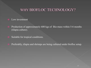 biofloc.pptx