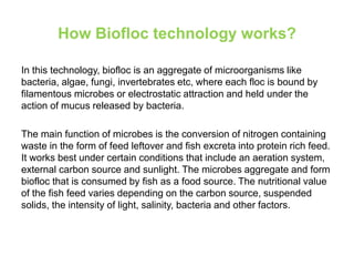Biofloc fish farming for sustainable aquaculture | PPT