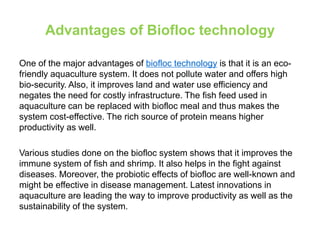 Curated visual reference: Picture Idea: Biofloc Fish Farming For Sustainable Aquaculture