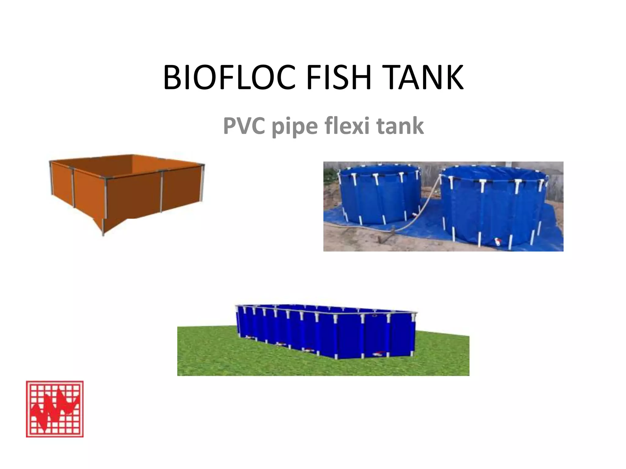 Biofloc fish tank ppt | PPTX | Fish and Aquariums | Pets