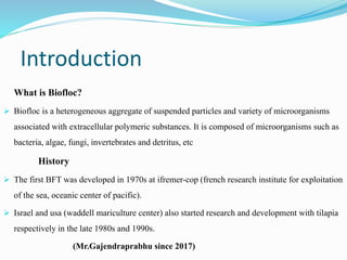 biofloc fish technology.pptx