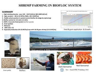 Biofloc information | PDF