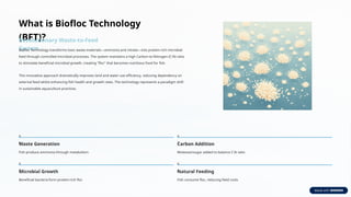 Biofloc Pond Fish Farming: Sustainable, Intensive Aquaculture for High ...