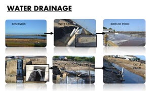 WATER DRAINAGE
RESERVOIR INLET CANAL BIOFLOC POND
OUTLET SETTLEMENT TANK
OUTLET
CANAL
 