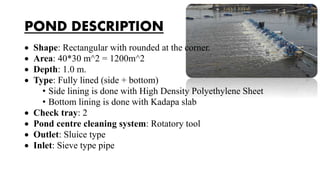 POND DESCRIPTION
 Shape: Rectangular with rounded at the corner.
 Area: 40*30 m^2 = 1200m^2
 Depth: 1.0 m.
 Type: Fully lined (side + bottom)
• Side lining is done with High Density Polyethylene Sheet
• Bottom lining is done with Kadapa slab
 Check tray: 2
 Pond centre cleaning system: Rotatory tool
 Outlet: Sluice type
 Inlet: Sieve type pipe
 