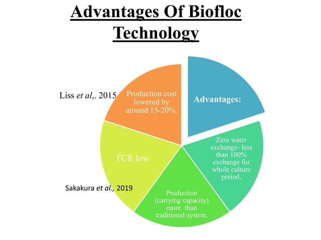 Biofloc Technology.pptx pangasius and tilapia fish culture | PPTX
