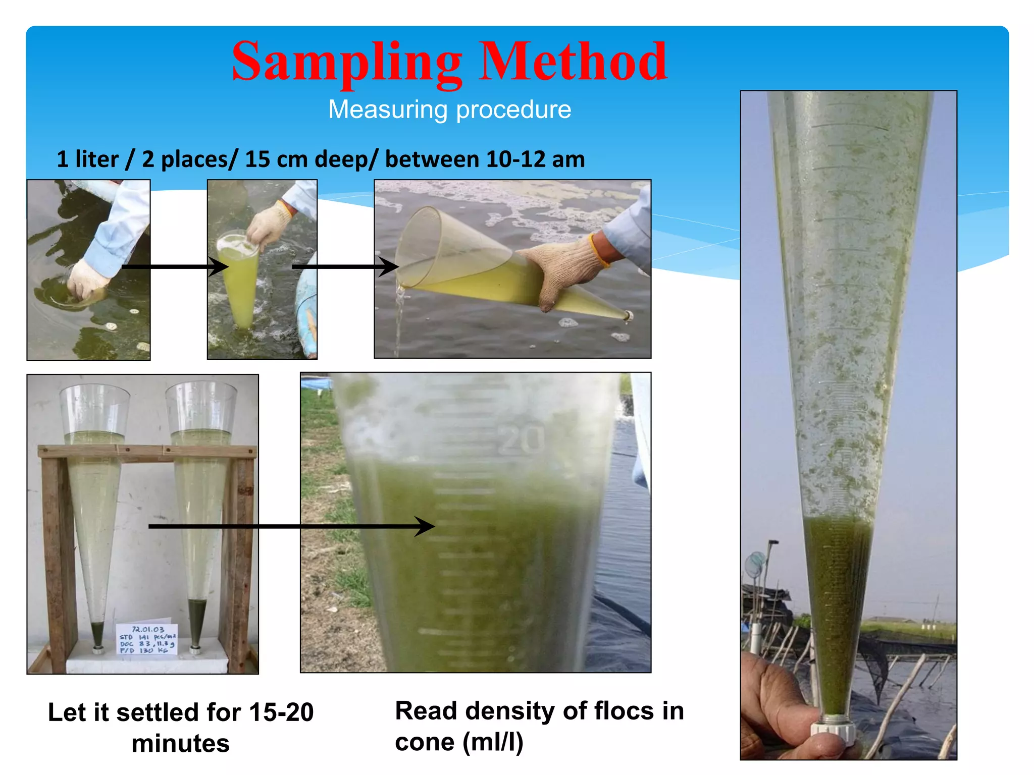Sampling Method Measuring procedure 
1 liter / 2 places/ 15 cm deep/ between 10-12 am Let it settled for 15-20 minutes 
Read density of flocs in cone (ml/l)  
