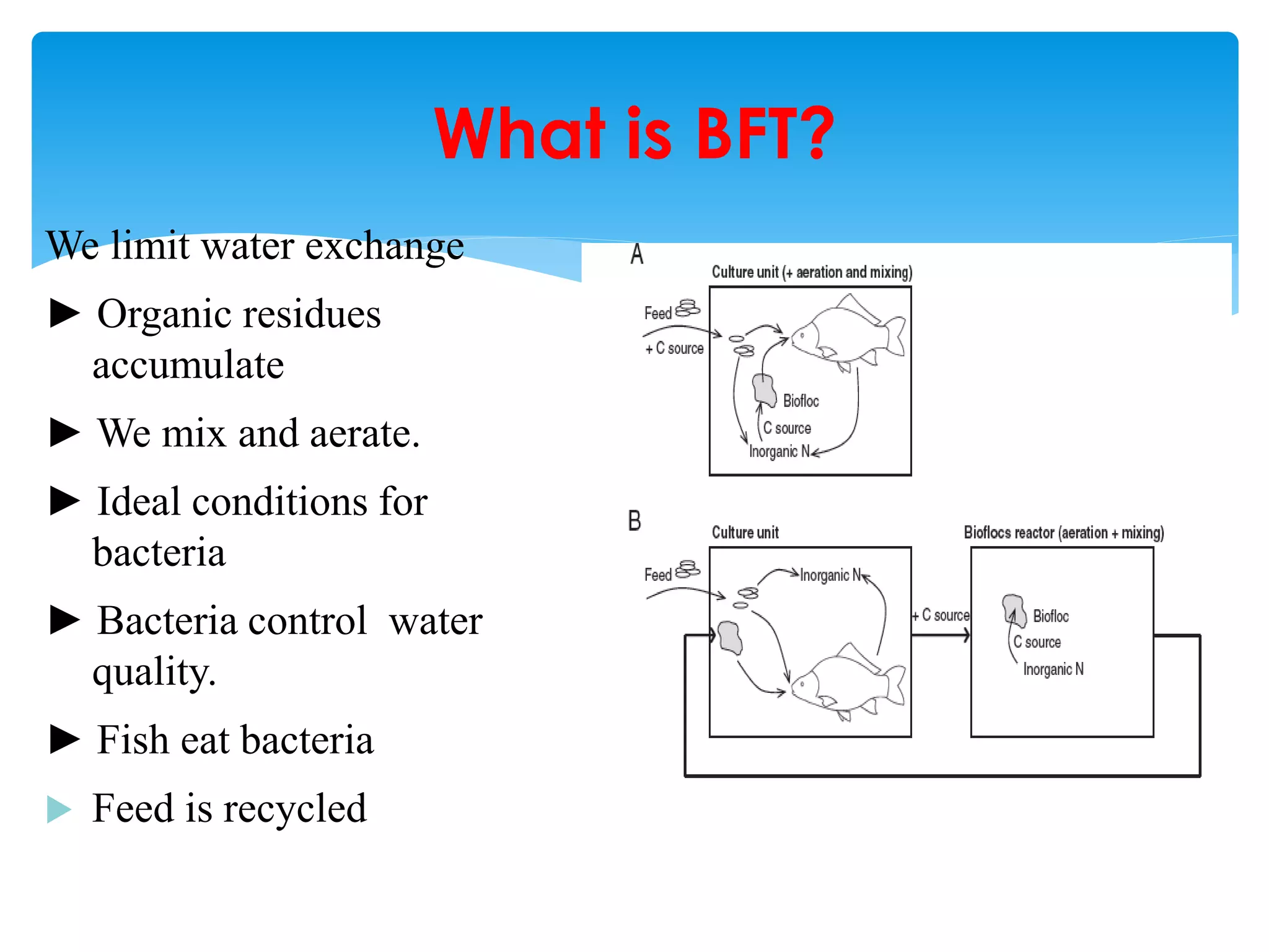 We limit water exchange 
► Organic residues accumulate 
► We mix and aerate. 
► Ideal conditions for bacteria 
► Bacteria control water quality. 
► Fish eat bacteria 
Feed is recycled 
What is BFT?  