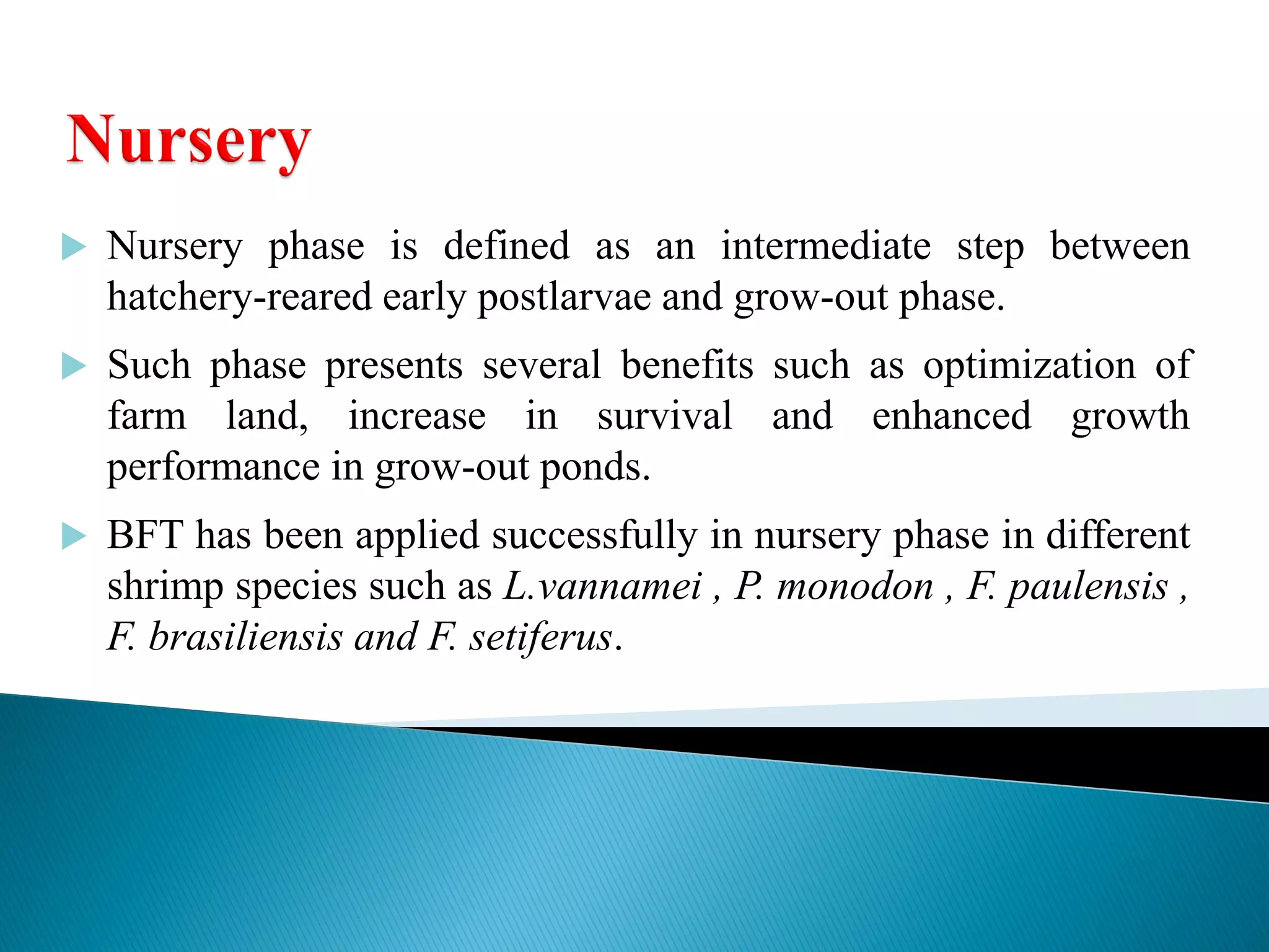 Nursery phase is defined as an intermediate step between hatchery-reared early postlarvae and grow-out phase. 
Such phase presents several benefits such as optimization of farm land, increase in survival and enhanced growth performance in grow-out ponds. 
BFT has been applied successfully in nursery phase in different shrimp species such as L.vannamei , P. monodon , F. paulensis , F. brasiliensis and F. setiferus. 
 