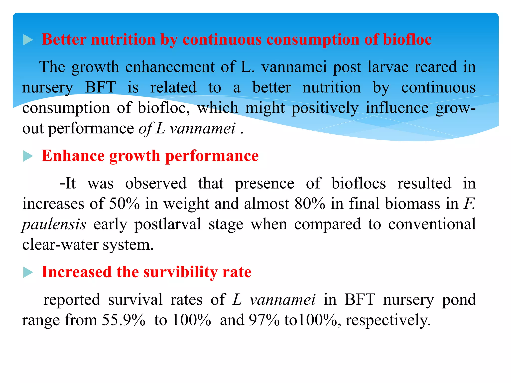 Better nutrition by continuous consumption of biofloc 
The growth enhancement of L. vannamei post larvae reared in nursery BFT is related to a better nutrition by continuous consumption of biofloc, which might positively influence grow- out performance of L vannamei . 
Enhance growth performance 
-It was observed that presence of bioflocs resulted in increases of 50% in weight and almost 80% in final biomass in F. paulensis early postlarval stage when compared to conventional clear-water system. 
Increased the survibility rate 
reported survival rates of L vannamei in BFT nursery pond range from 55.9% to 100% and 97% to100%, respectively.  