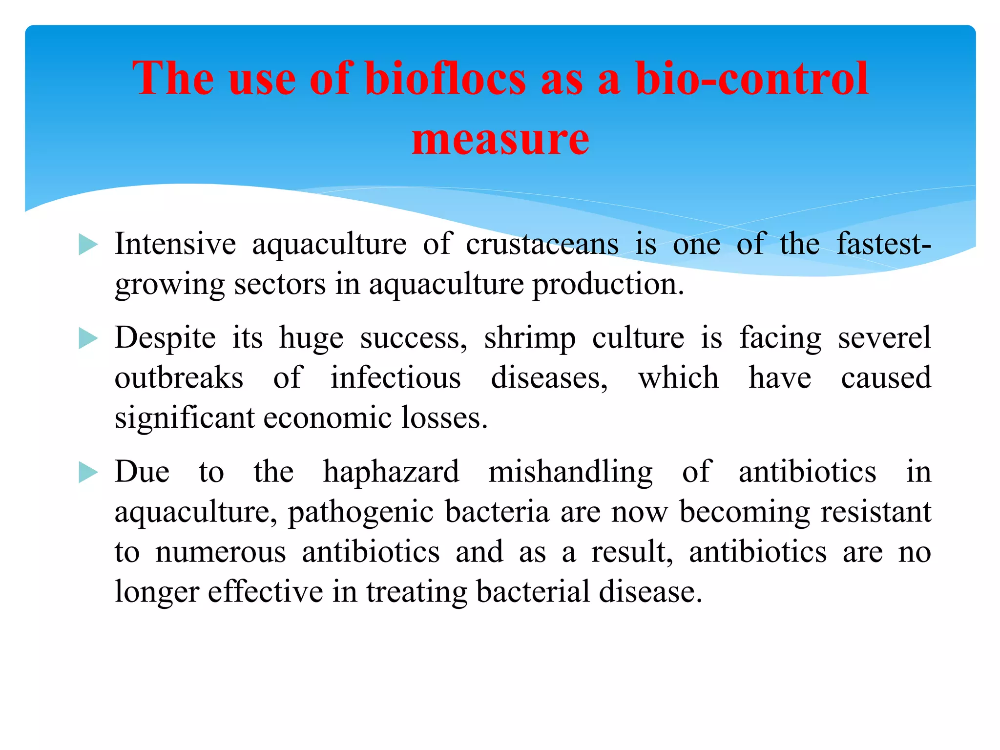 Intensive aquaculture of crustaceans is one of the fastest- growing sectors in aquaculture production. 
Despite its huge success, shrimp culture is facing severel outbreaks of infectious diseases, which have caused significant economic losses. 
Due to the haphazard mishandling of antibiotics in aquaculture, pathogenic bacteria are now becoming resistant to numerous antibiotics and as a result, antibiotics are no longer effective in treating bacterial disease. 
The use of bioflocs as a bio-control measure  