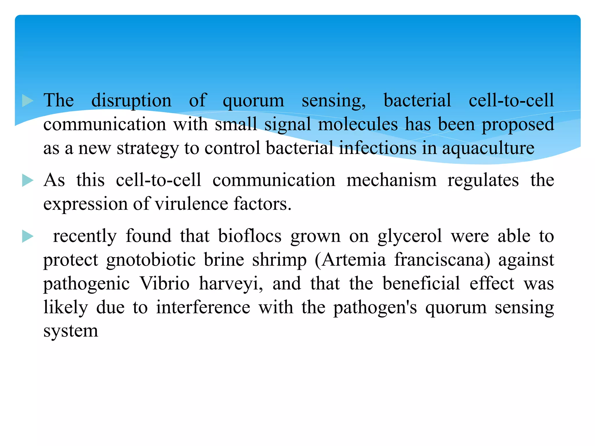 The disruption of quorum sensing, bacterial cell-to-cell communication with small signal molecules has been proposed as a new strategy to control bacterial infections in aquaculture 
As this cell-to-cell communication mechanism regulates the expression of virulence factors. 
 recently found that bioflocs grown on glycerol were able to protect gnotobiotic brine shrimp (Artemia franciscana) against pathogenic Vibrio harveyi, and that the beneficial effect was likely due to interference with the pathogen's quorum sensing system  