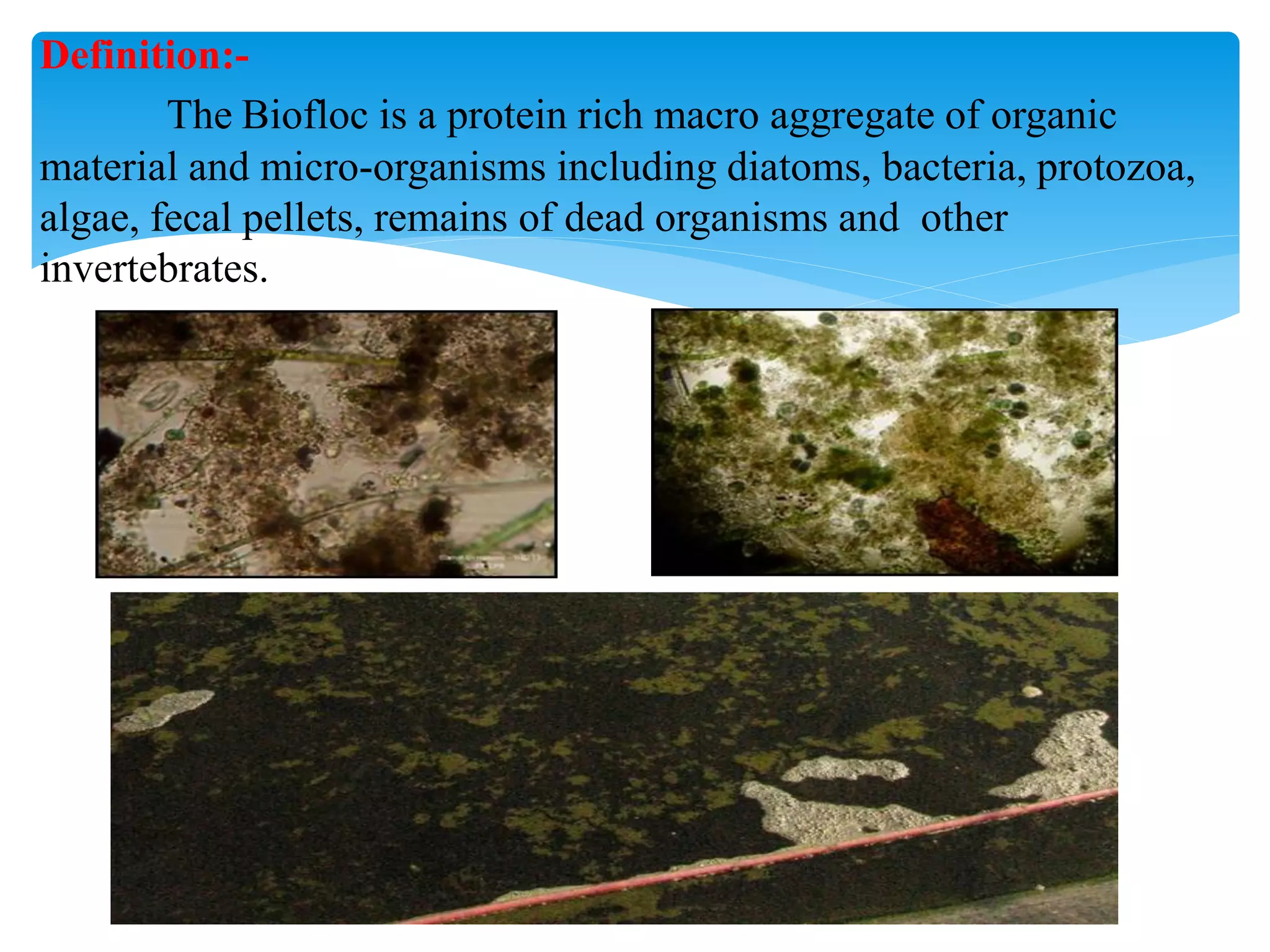 Definition:- 
The Biofloc is a protein rich macro aggregate of organic material and micro-organisms including diatoms, bacteria, protozoa, algae, fecal pellets, remains of dead organisms and other invertebrates.  