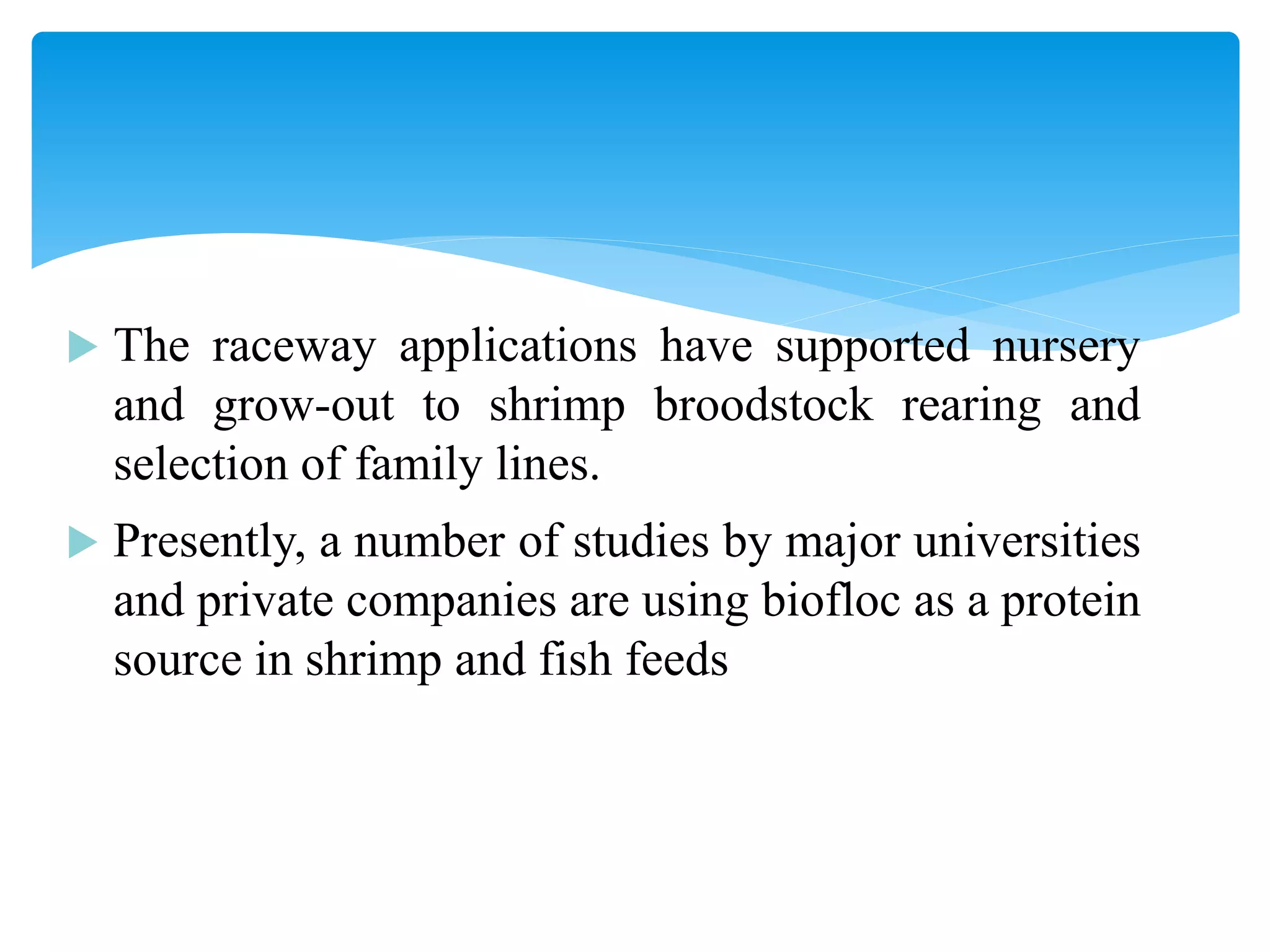 The raceway applications have supported nursery and grow-out to shrimp broodstock rearing and selection of family lines. 
Presently, a number of studies by major universities and private companies are using biofloc as a protein source in shrimp and fish feeds  