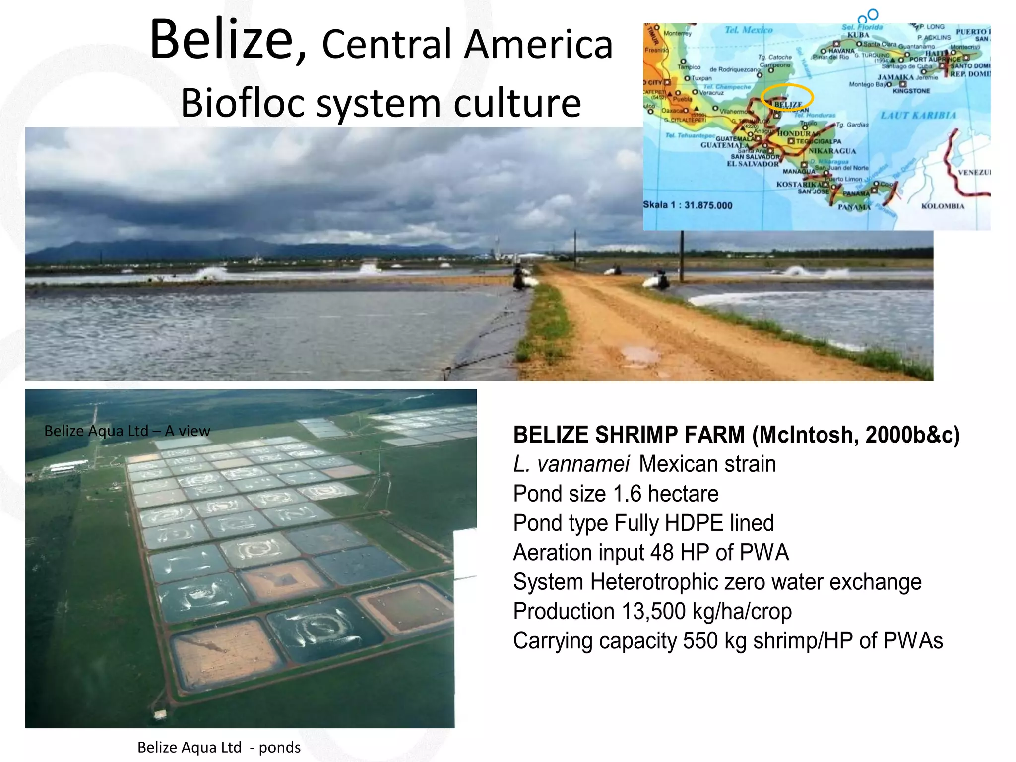 Belize, Central America Biofloc system culture Belize Aqua Ltd – A view 
Belize Aqua Ltd - ponds BELIZE SHRIMP FARM (McIntosh, 2000b&c) L. vannamei Mexican strain Pond size 1.6 hectarePond type Fully HDPE linedAeration input 48 HP of PWASystem Heterotrophic zero water exchangeProduction 13,500 kg/ha/cropCarrying capacity 550 kg shrimp/HP of PWAs  
