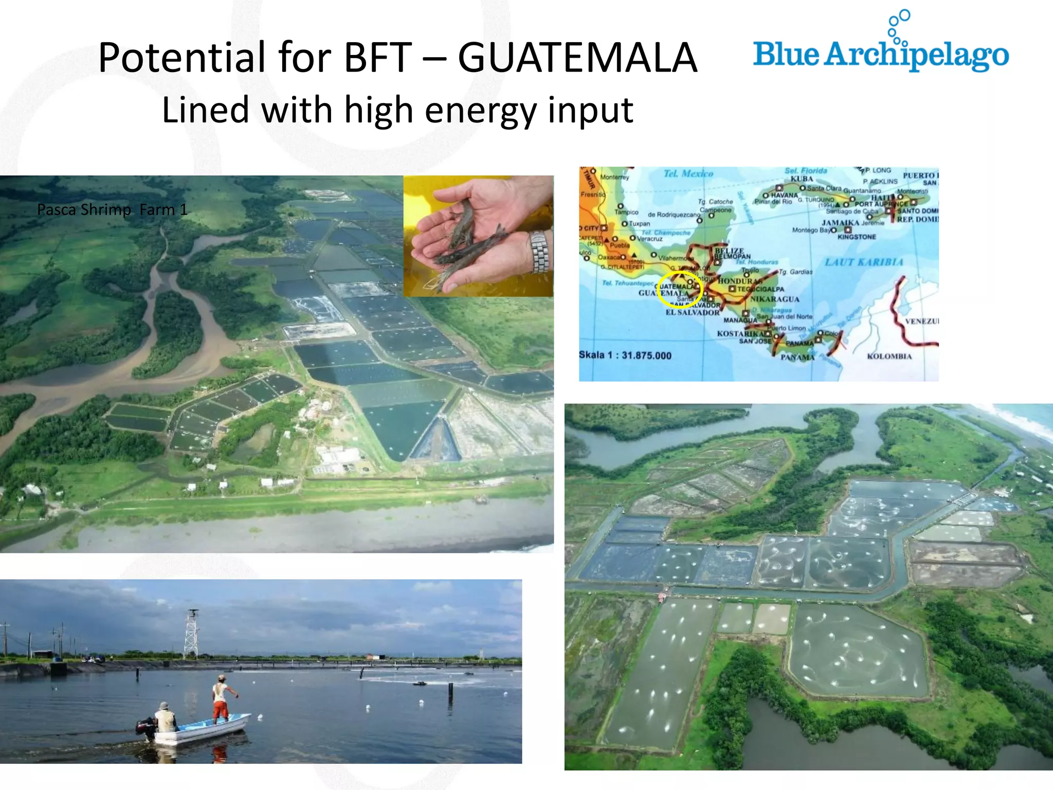 Potential for BFT – GUATEMALA Lined with high energy input Pasca Shrimp Farm 1  