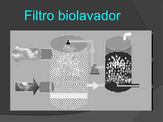     Filtro biolavador