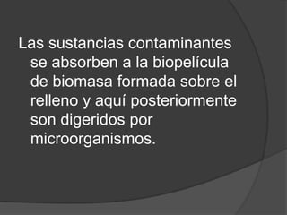 Las sustancias contaminantes se absorben a la biopelícula de biomasa formada sobre el relleno y aquí posteriormente son digeridos por microorganismos.
