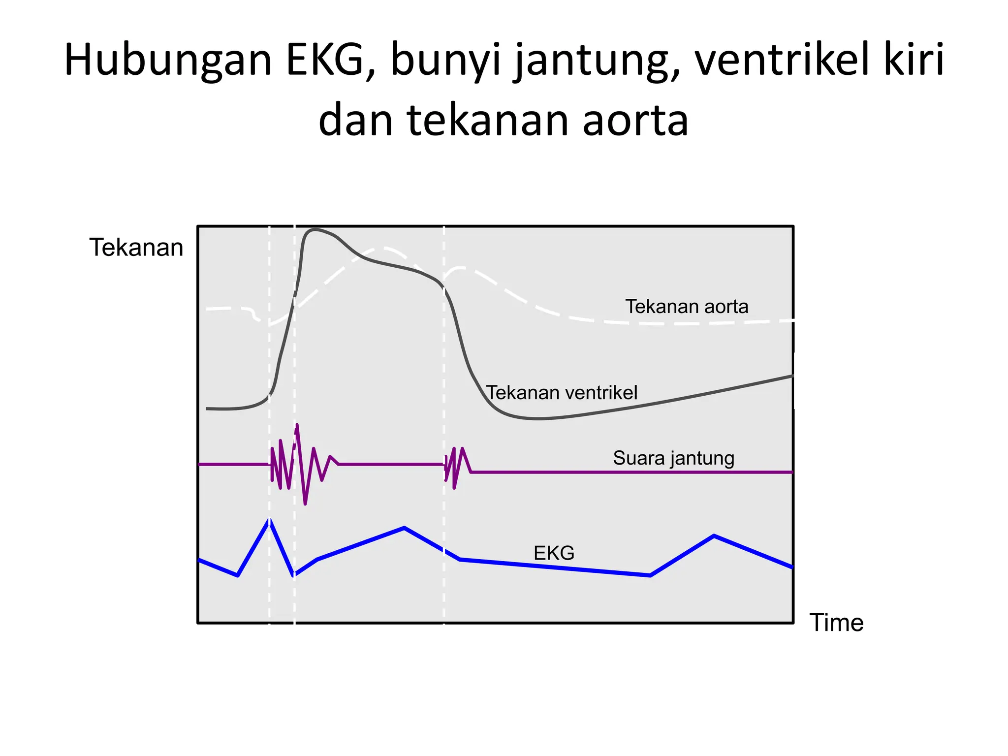 Hubungan EKG, bunyi jantung, ventrikel kiri
dan tekanan aorta
Tekanan aorta
Tekanan ventrikel
Suara jantung
EKG
Time
Tekanan
 