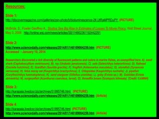 Resources:
Slide 1:
http://discovermagazine.com/galleries/zen-photo/b/bioluminescence-2#.UtRaMPRDuPY (PICTURE)
McBride, S., Fowler Geoffrey A., Studios See Big Rise In Estimates of Losses To Movie Piracy, Wall Street Journal,
May 3, 2006 http://online.wsj.com/news/articles/SB114662361192442291

Slide 2:ress:
http://www.sciencedaily.com/releases/2014/01/140109004259.htm (PICTURE)
Accessed - January 10, 2014
Researchers discovered a rich diversity of fluorescent patterns and colors in marine fishes, as exemplified here. A). swell
shark (Cephaloscyllium ventriosum); B). ray (Urobatis jamaicensis); C). sole (Soleichthys heterorhinos); D). flathead
(Cociella hutchinsi); E). lizardfish (Saurida gracilis); F). frogfish (Antennarius maculatus); G). stonefish (Synanceia
verrucosa); H). false moray eel (Kaupichthys brachychirus); I). Chlopsidae (Kaupichthys nuchalis); J). pipefish
(Corythoichthys haematopterus); K). sand stargazer (Gillellus uranidea); L). goby (Eviota sp.); M). Gobiidae (Eviota
atriventris); N). surgeonfish (Acanthurus coeruleus, larval); O). threadfin bream (Scolopsis bilineata). (Credit: ©AMNH)

Slide 3:
http://karapaia.livedoor.biz/archives/51995746.html (PICTURE)
http://www.sciencedaily.com/releases/2014/01/140109004259.htm (Article)

Slide 4:
http://karapaia.livedoor.biz/archives/51995746.html (PICTURE)
http://www.sciencedaily.com/releases/2014/01/140109004259.htm (Article)

 