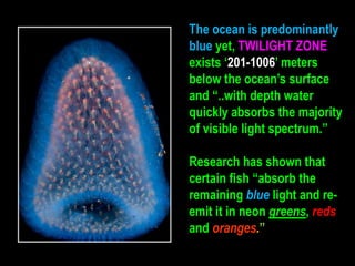 The ocean is predominantly
blue yet, TWILIGHT ZONE
exists ‘201-1006’ meters
below the ocean’s surface
and “..with depth water
quickly absorbs the majority
of visible light spectrum.”

Research has shown that
certain fish “absorb the
remaining blue light and reemit it in neon greens, reds
and oranges.”

 