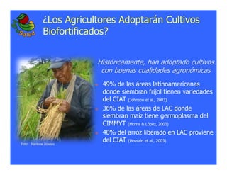 La biofortificacion: una alianza estratégica entre agricultura y nutrición para abordar la inseguridad alimentaria y las definiciones nutricionales