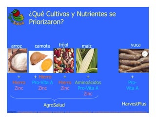 La biofortificacion: una alianza estratégica entre agricultura y nutrición para abordar la inseguridad alimentaria y las definiciones nutricionales