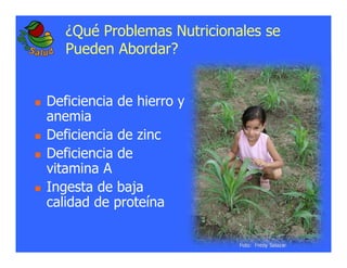 La biofortificacion: una alianza estratégica entre agricultura y nutrición para abordar la inseguridad alimentaria y las definiciones nutricionales