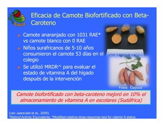 La biofortificacion: una alianza estratégica entre agricultura y nutrición para abordar la inseguridad alimentaria y las definiciones nutricionales